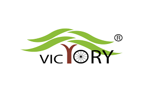 Victory Electric Vehicles International